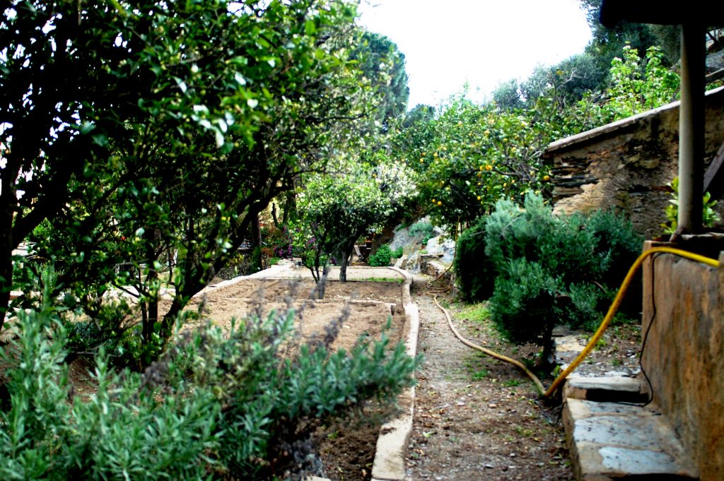 Huerto Sa Cadaquesenca